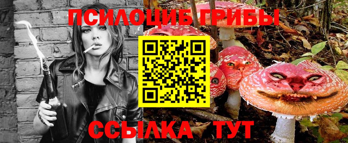 Псилоцибиновые грибы MAGIC MUSHROOMS Сальск