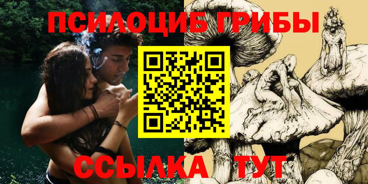 Псилоцибиновые грибы Magic Shrooms  Вход с VPN  Сальск 